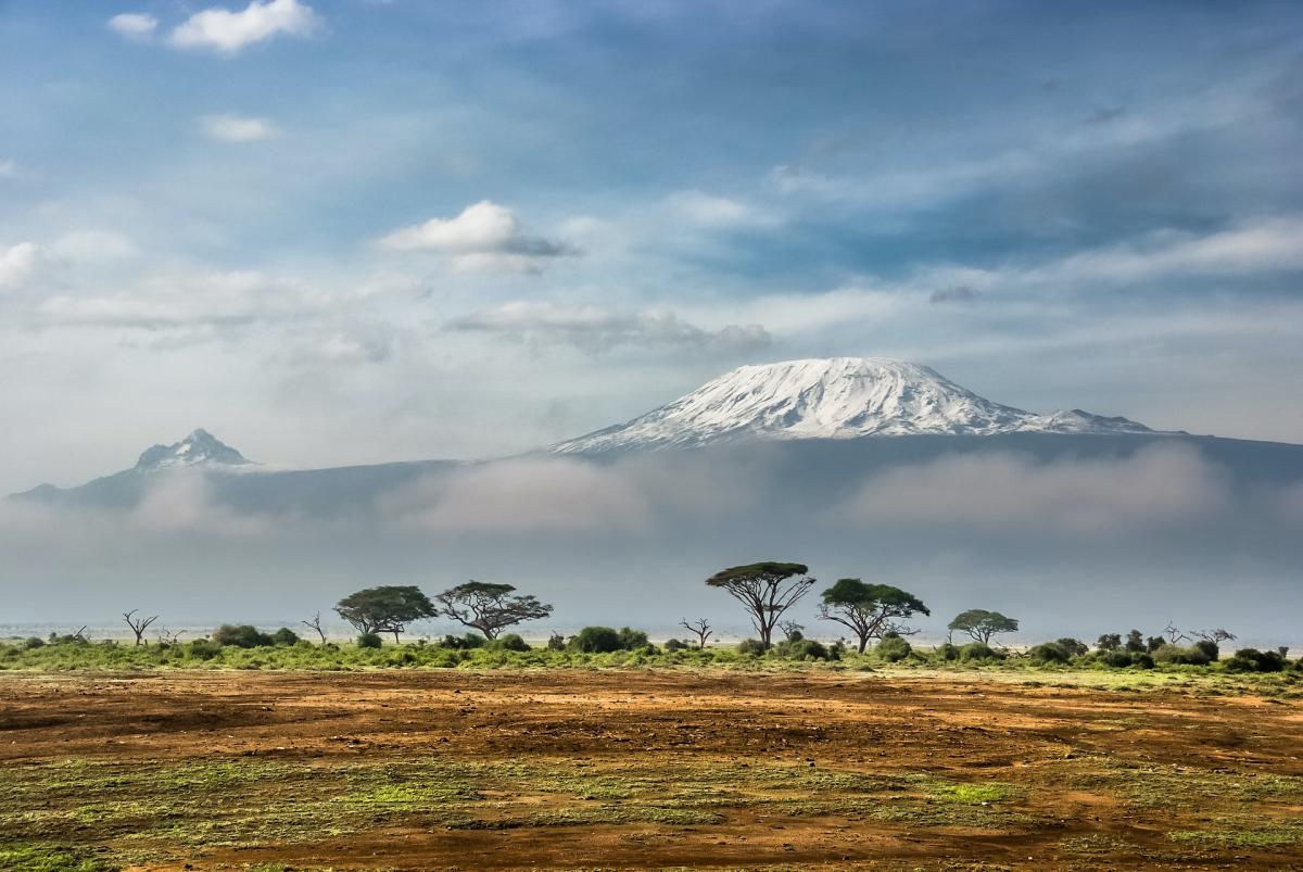 10 hét alatt 10 házat nyomtattak Kenyában